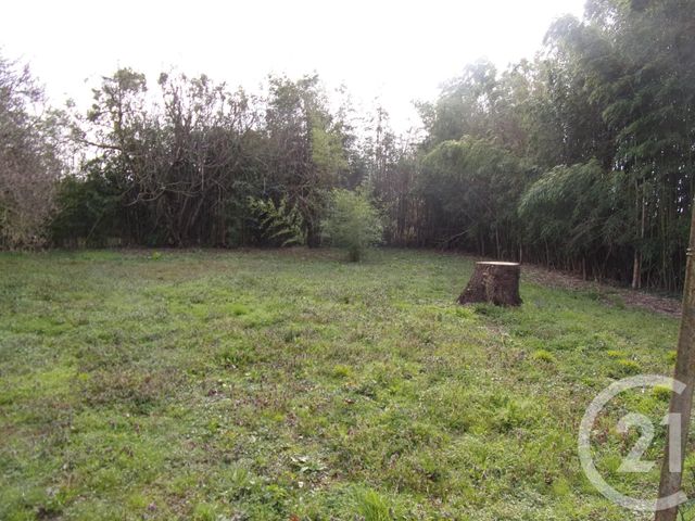 maison à vendre - 2 pièces - 157.0 m2 - CAZERES - 31 - MIDI-PYRENEES - Century 21 Kl Immo maison à vendre - 2 pièces - 157.0 m2 - CAZERES - 31 - MIDI-PYRENEES - Century 21 Kl Immo
