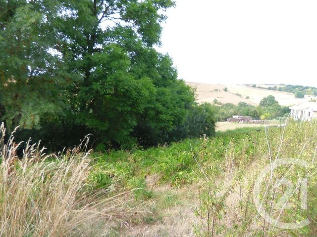 terrain à vendre - 745.0 m2 - ST CHRISTAUD - 31 - MIDI-PYRENEES - Century 21 Kl Immo terrain à vendre - 745.0 m2 - ST CHRISTAUD - 31 - MIDI-PYRENEES - Century 21 Kl Immo