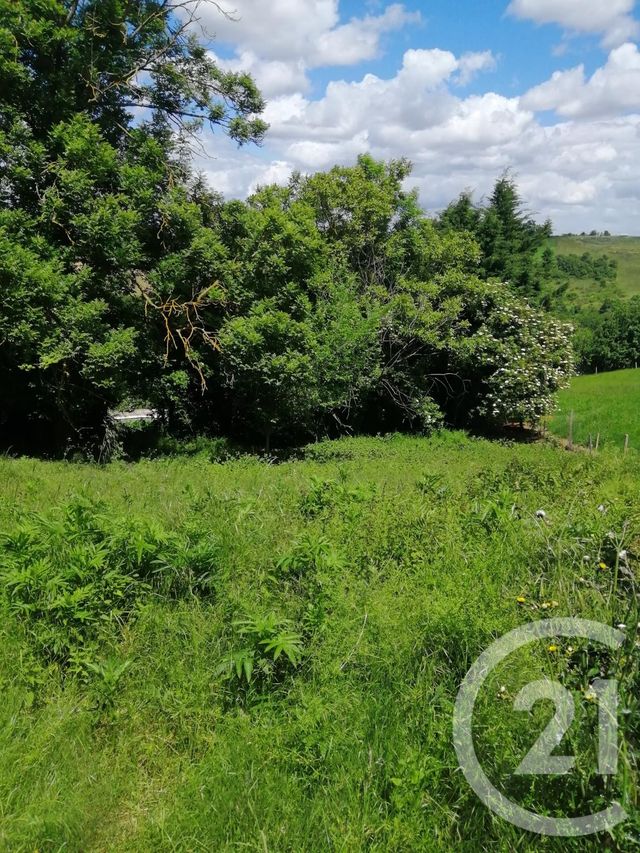 terrain à vendre - 745.0 m2 - ST CHRISTAUD - 31 - MIDI-PYRENEES - Century 21 Kl Immo terrain à vendre - 745.0 m2 - ST CHRISTAUD - 31 - MIDI-PYRENEES - Century 21 Kl Immo