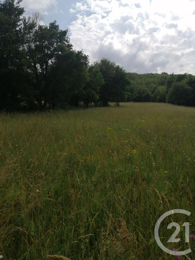 terrain à vendre - 6430.0 m2 - MARTRES TOLOSANE - 31 - MIDI-PYRENEES - Century 21 Kl Immo terrain à vendre - 6430.0 m2 - MARTRES TOLOSANE - 31 - MIDI-PYRENEES - Century 21 Kl Immo