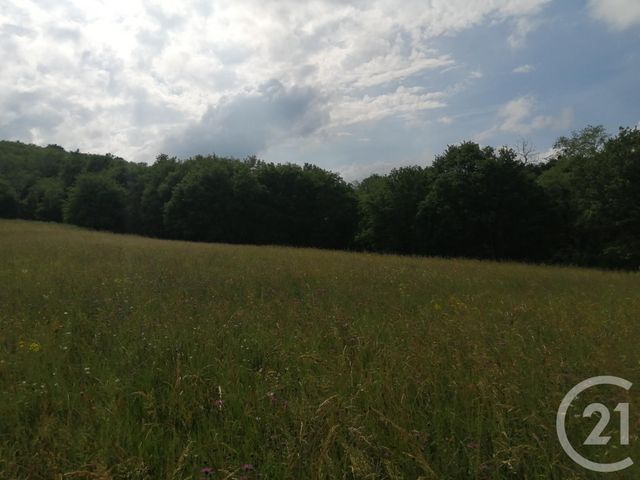terrain à vendre - 6430.0 m2 - MARTRES TOLOSANE - 31 - MIDI-PYRENEES - Century 21 Kl Immo terrain à vendre - 6430.0 m2 - MARTRES TOLOSANE - 31 - MIDI-PYRENEES - Century 21 Kl Immo