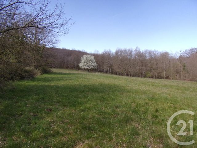 terrain à vendre - 6430.0 m2 - MARTRES TOLOSANE - 31 - MIDI-PYRENEES - Century 21 Kl Immo terrain à vendre - 6430.0 m2 - MARTRES TOLOSANE - 31 - MIDI-PYRENEES - Century 21 Kl Immo