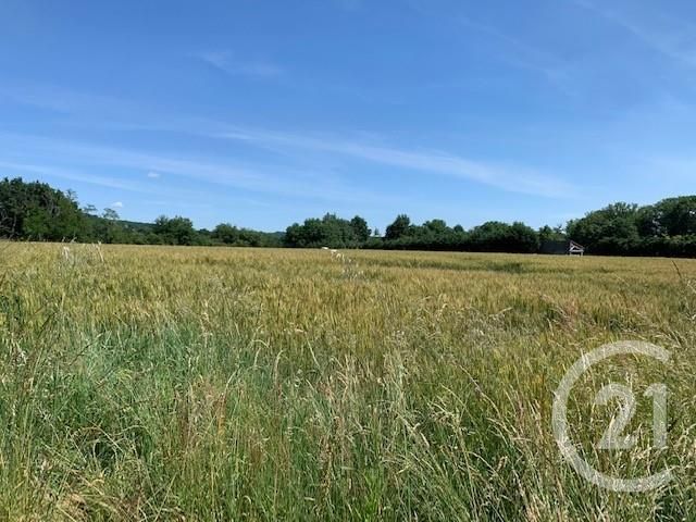 terrain à vendre - 5146.0 m2 - MARTRES TOLOSANE - 31 - MIDI-PYRENEES - Century 21 Kl Immo terrain à vendre - 5146.0 m2 - MARTRES TOLOSANE - 31 - MIDI-PYRENEES - Century 21 Kl Immo