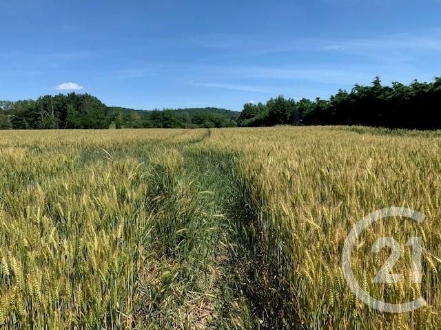 terrain à vendre - 5146.0 m2 - MARTRES TOLOSANE - 31 - MIDI-PYRENEES - Century 21 Kl Immo terrain à vendre - 5146.0 m2 - MARTRES TOLOSANE - 31 - MIDI-PYRENEES - Century 21 Kl Immo