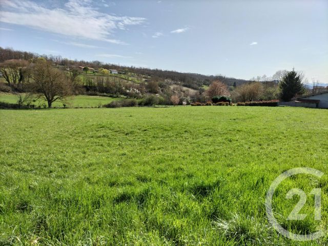 terrain à vendre - 3996.0 m2 - LE FRECHET - 31 - MIDI-PYRENEES - Century 21 Kl Immo