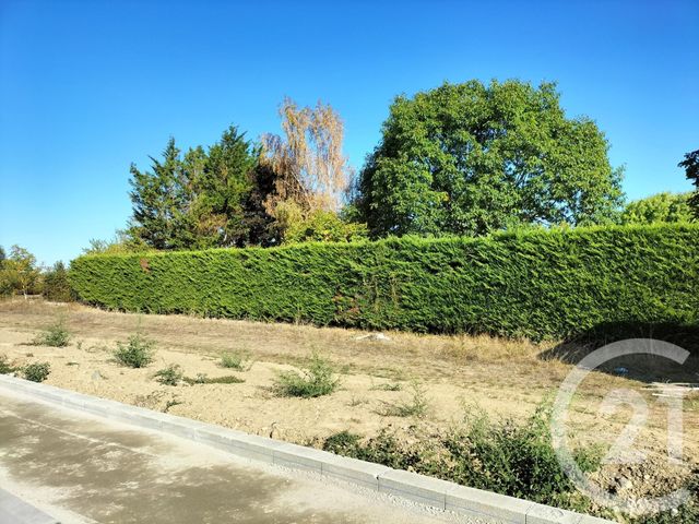 terrain à vendre - 502.0 m2 - PALAMINY - 31 - MIDI-PYRENEES - Century 21 Kl Immo