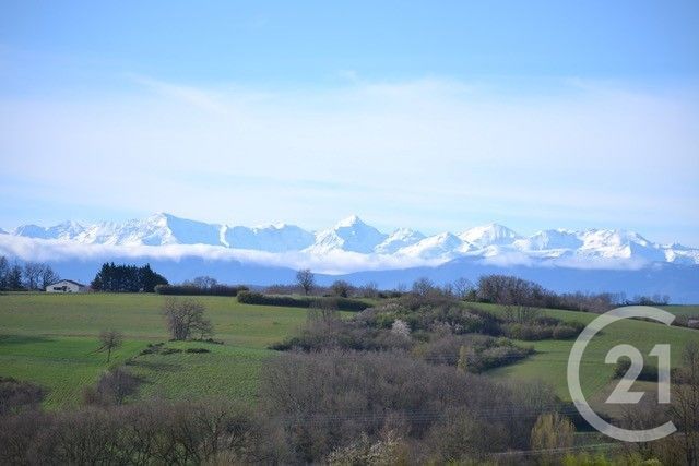 maison à vendre - 5 pièces - 150.0 m2 - FABAS - 31 - MIDI-PYRENEES - Century 21 Kl Immo