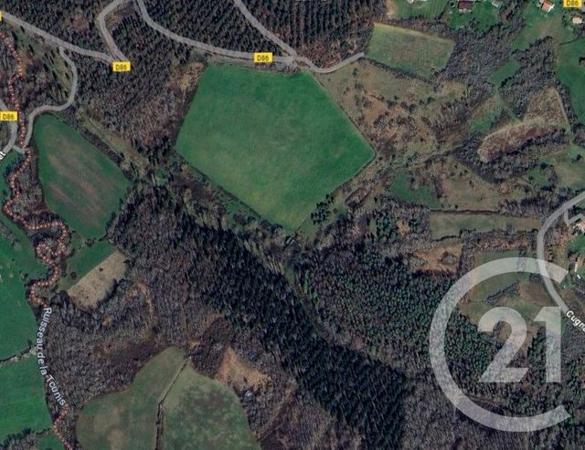 terrain à vendre - 260000.0 m2 - ST MICHEL - 31 - MIDI-PYRENEES - Century 21 Kl Immo