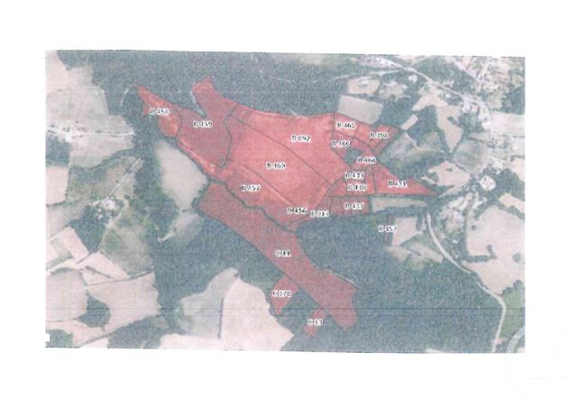terrain à vendre - 260000.0 m2 - ST MICHEL - 31 - MIDI-PYRENEES - Century 21 Kl Immo